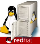 Linux Penguin